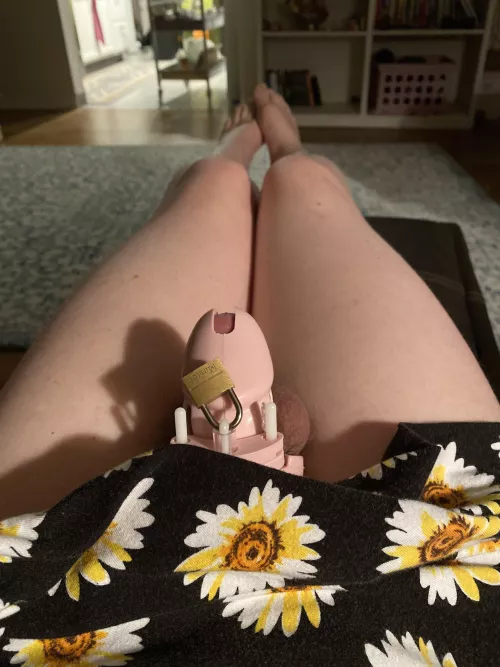 forever wishing i had a cute gf to keep me locked permanently :3