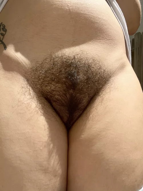 I wouldn’t allow a razor anywhere near this bush