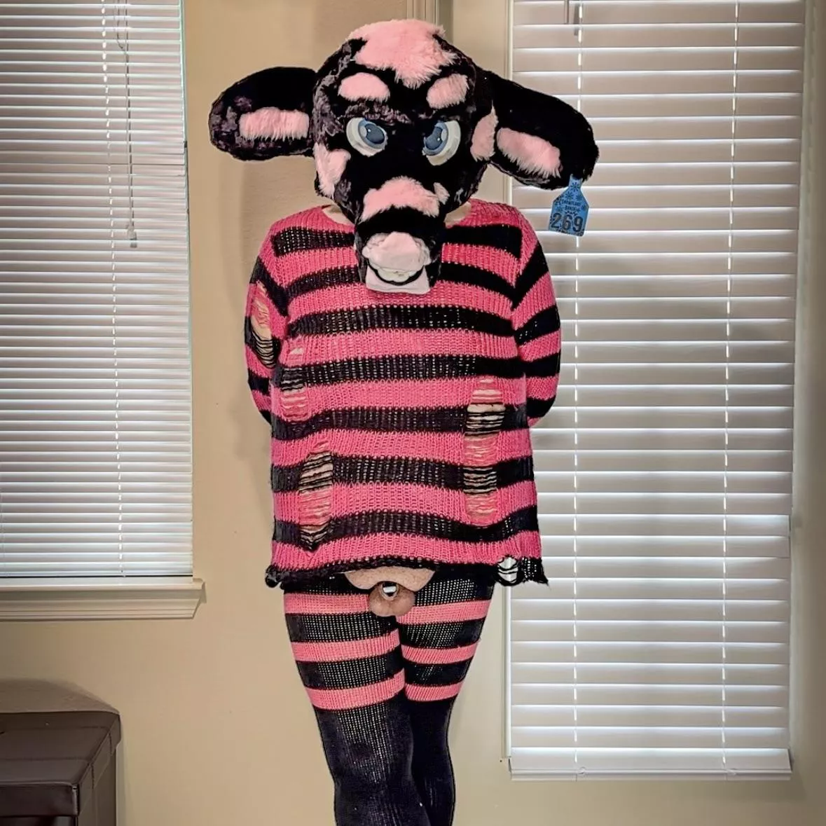 Moo! How might I be of service? 🐮💕💙