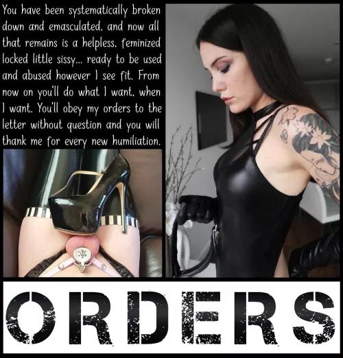 ORDERS [chastity] [femdom] [sissy]