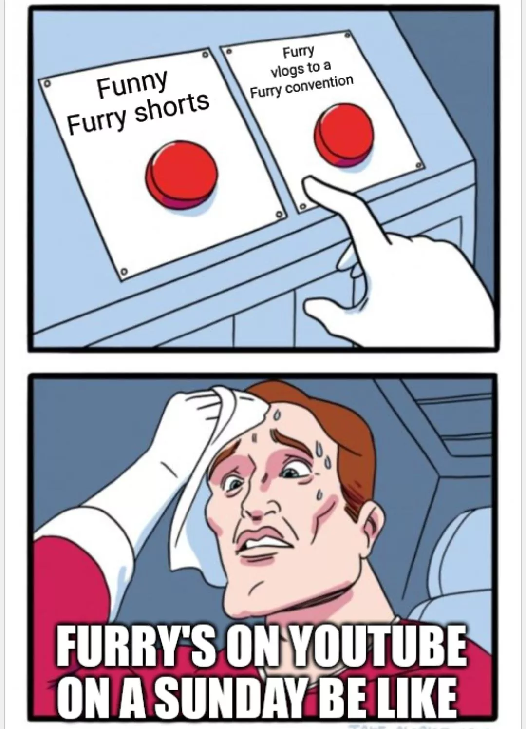 Sunday for a Furry be like