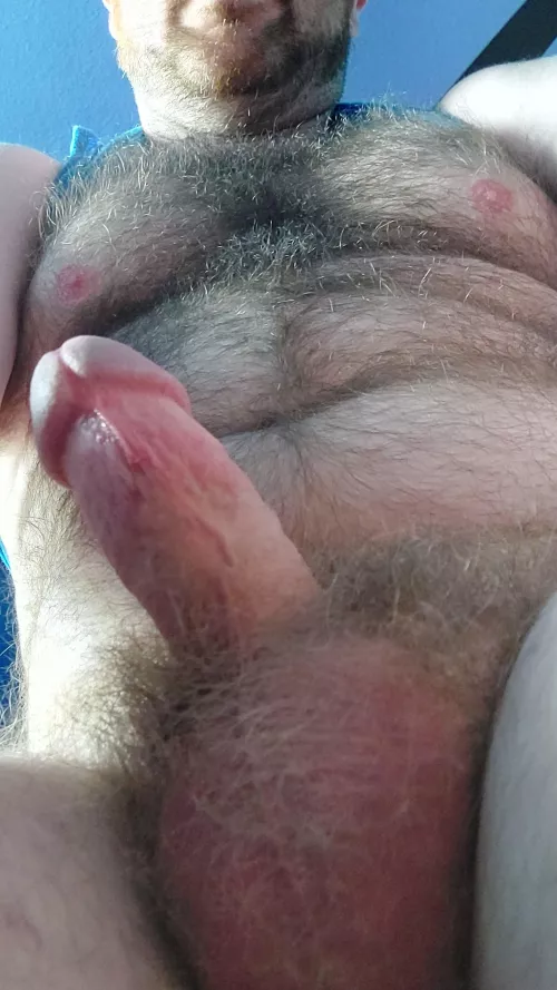 Whatcha think about this pocket daddy bear here, y'all?