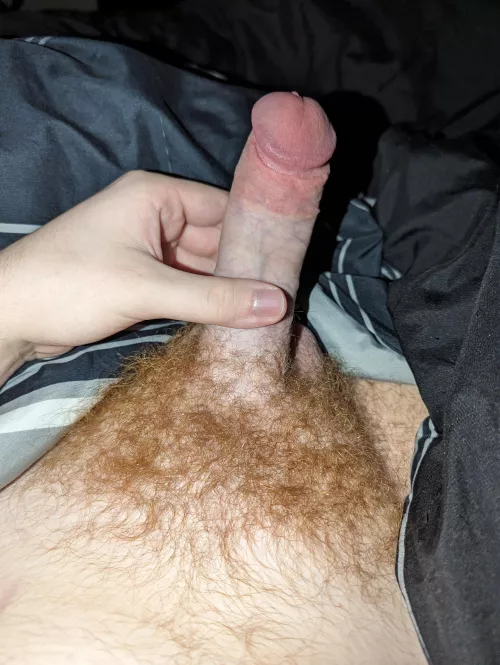 Would you suck my ginger dick?