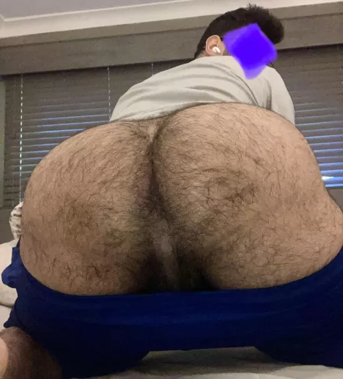 24 in shape DL Arab bottom with big furry ass. 😏 Add my Kikk: AdWeak1619 or DM me