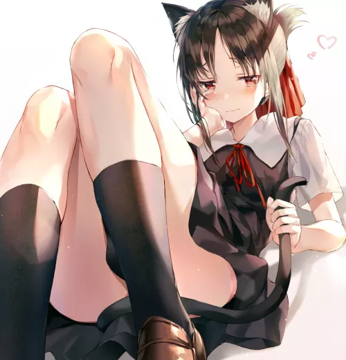 Embarrass cat girl Kaguya (dnwls3010) [Kaguya-sama Love is War]