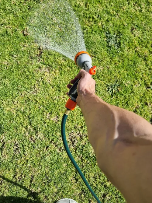 Just your everyday forearm workout