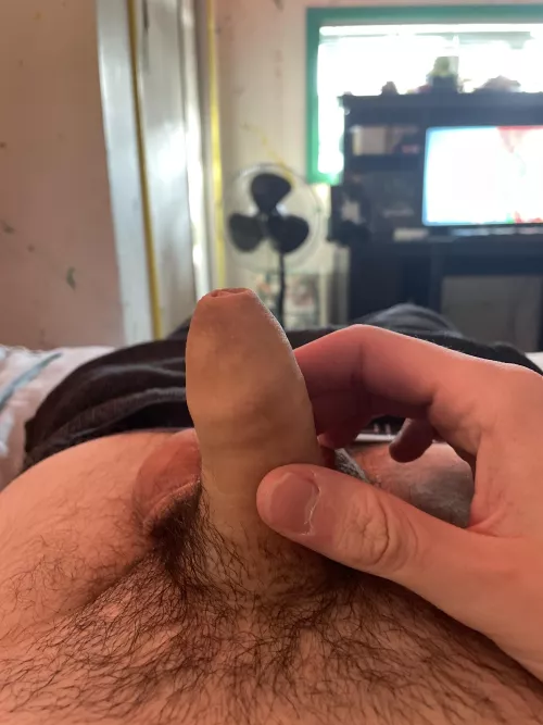 let’s compare for bets