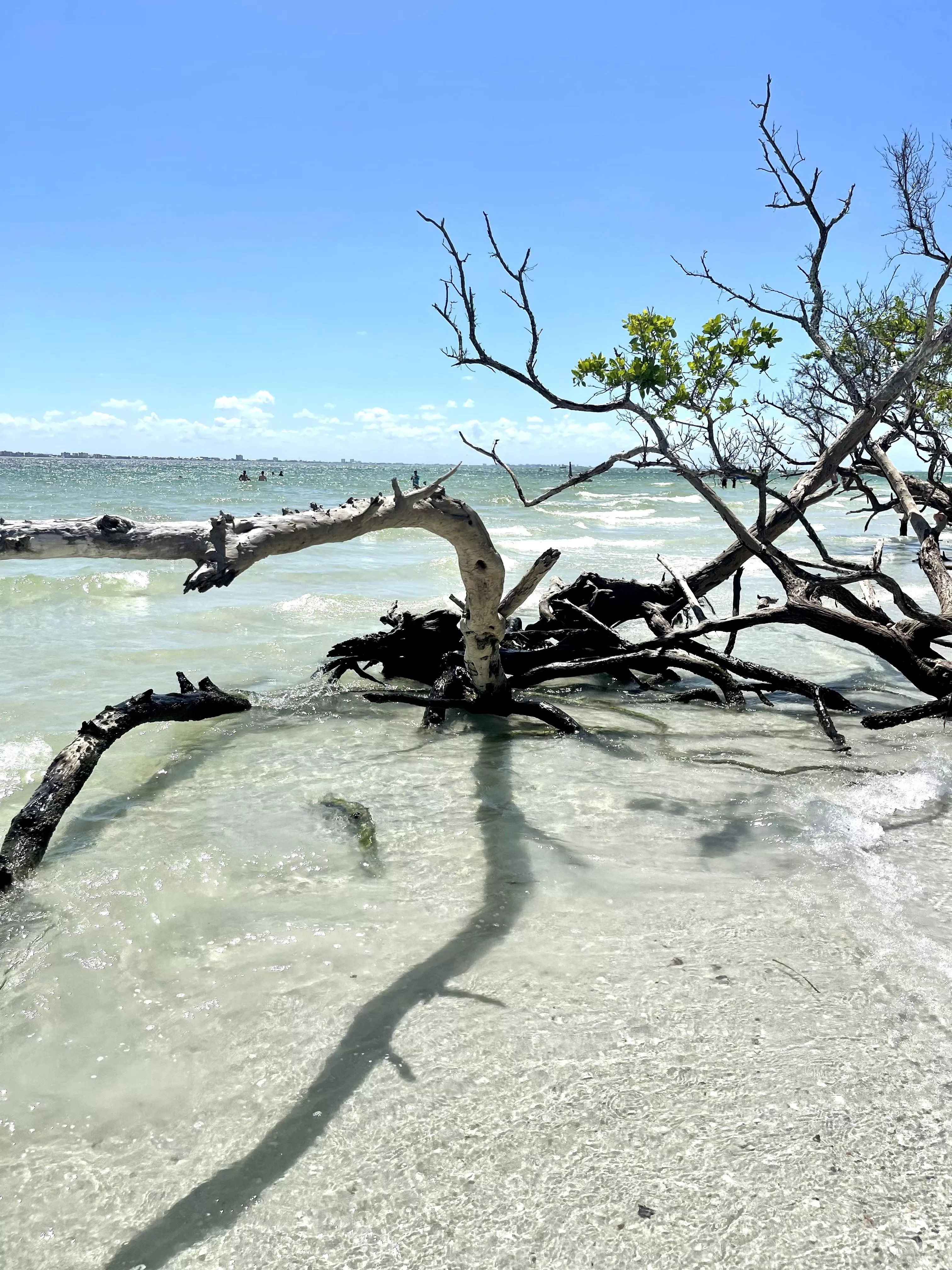 Sanibel Island at Lighthouse Point