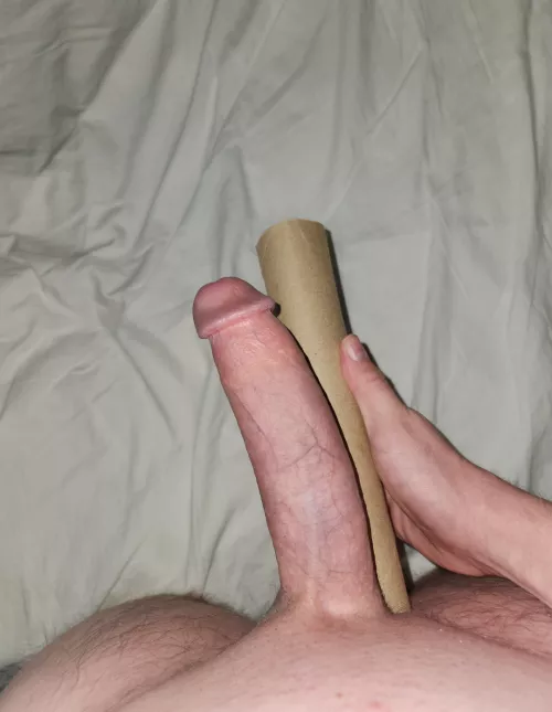 Someone said I should put a paper towel roll next to it.