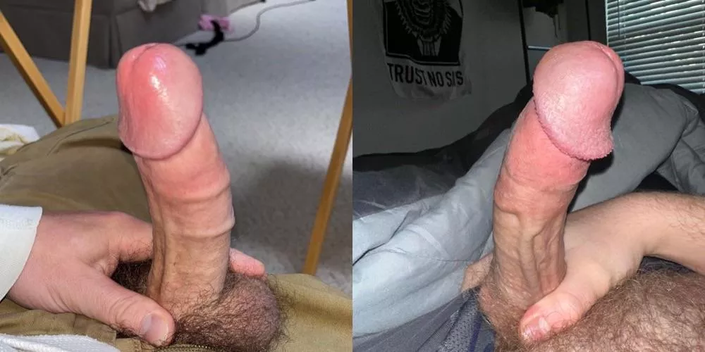 Which Cock would you rather , left or right?