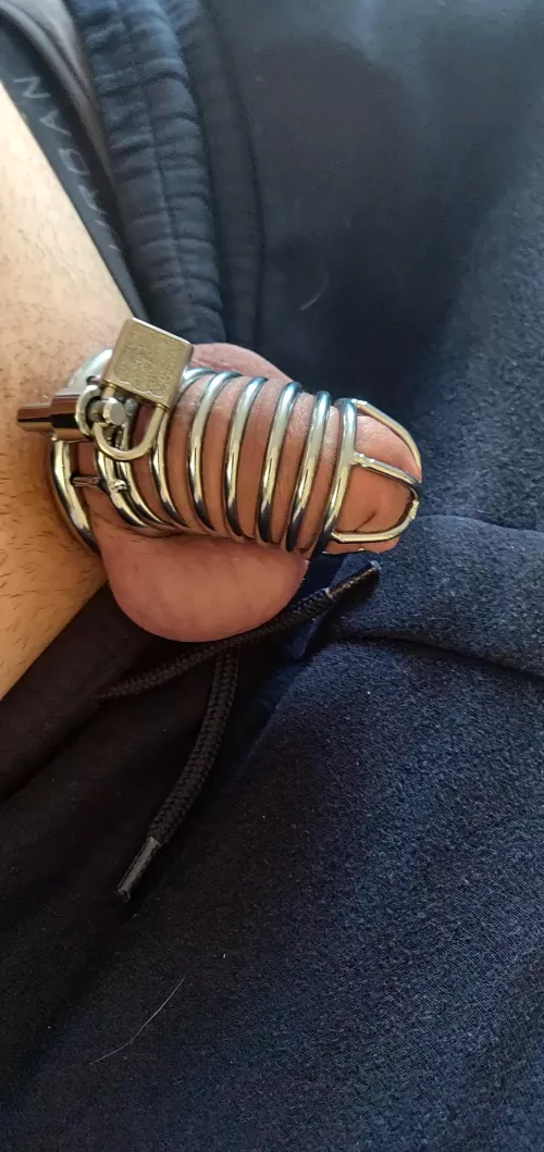 Back in chastity to help focus