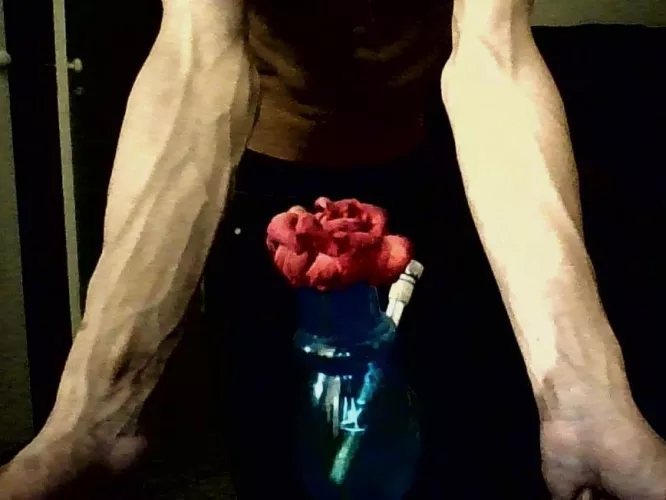 Flower framed by forearms🌹