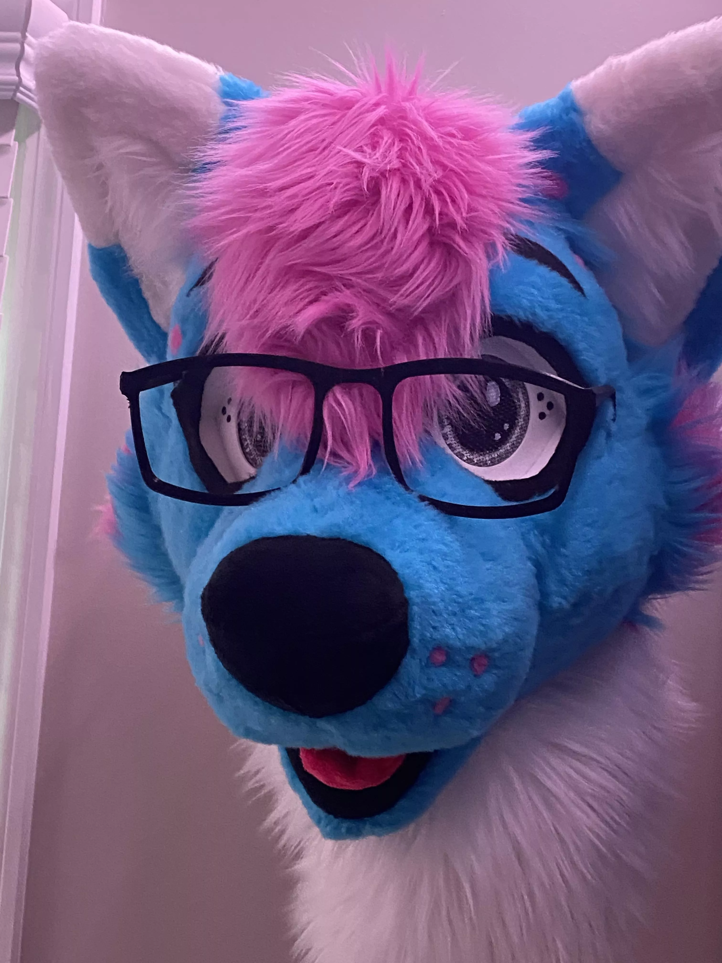 Gave my boi glasses, now I’m in love with them lmao.