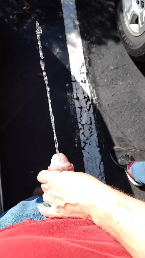 Got cought whipping my cock out in the university parking lot and offered to help me 🔥