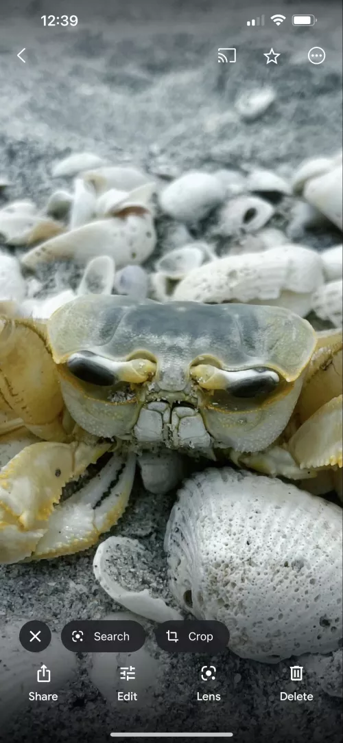 He’s feeling a bit crabby today😂