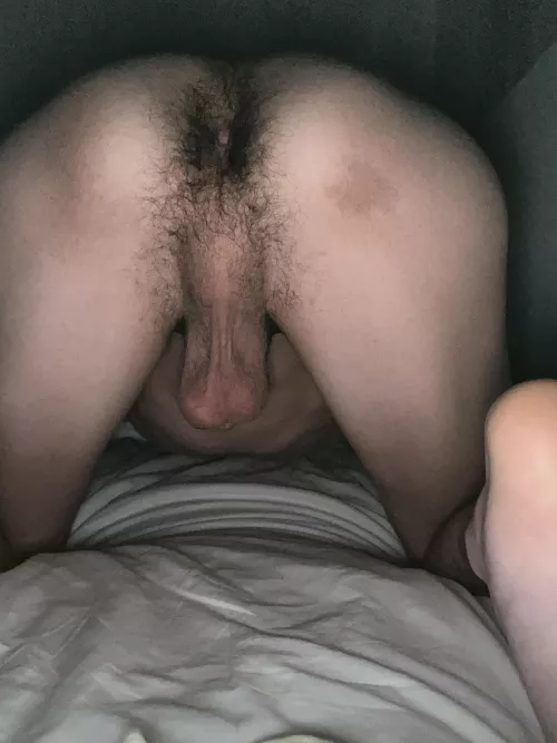 i need to be bred (18)