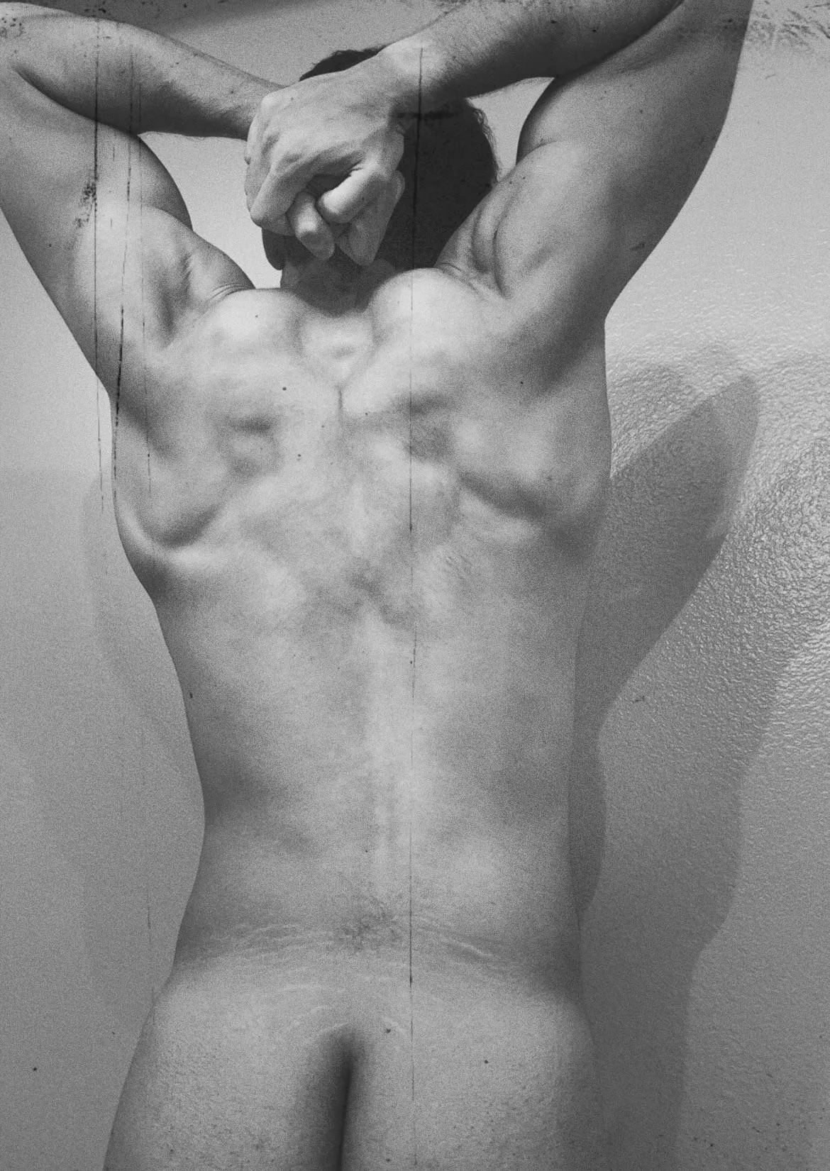 if you’re a bird, I’m a bird “”