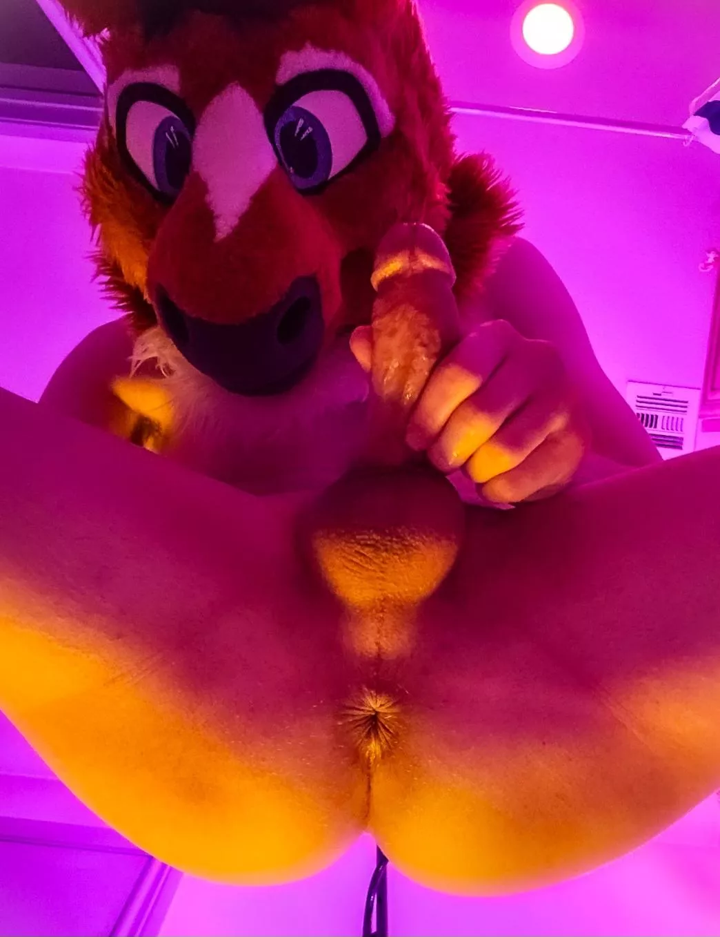 lick me from tip to tail~