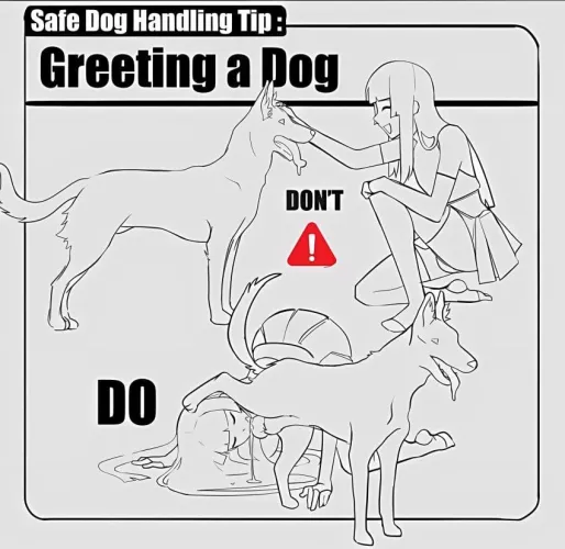 Quickly advise (chilichi)