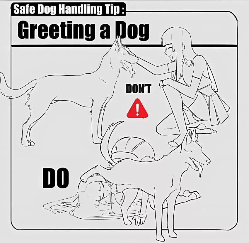 Quickly advise (chilichi)