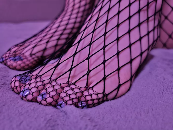 These little piggies are out, and they are waiting for some love🐷💓