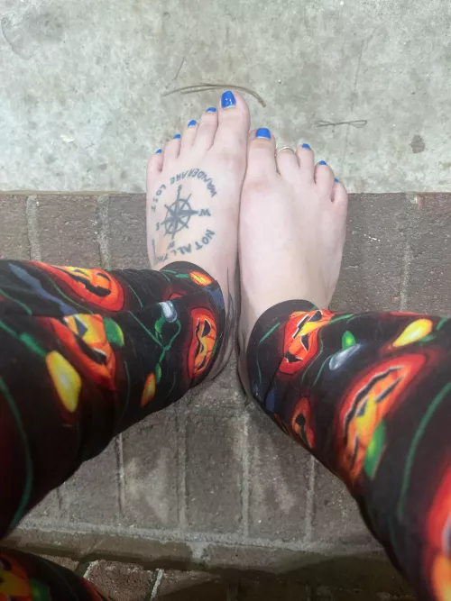 Which NC sub is going to let me kick their balls