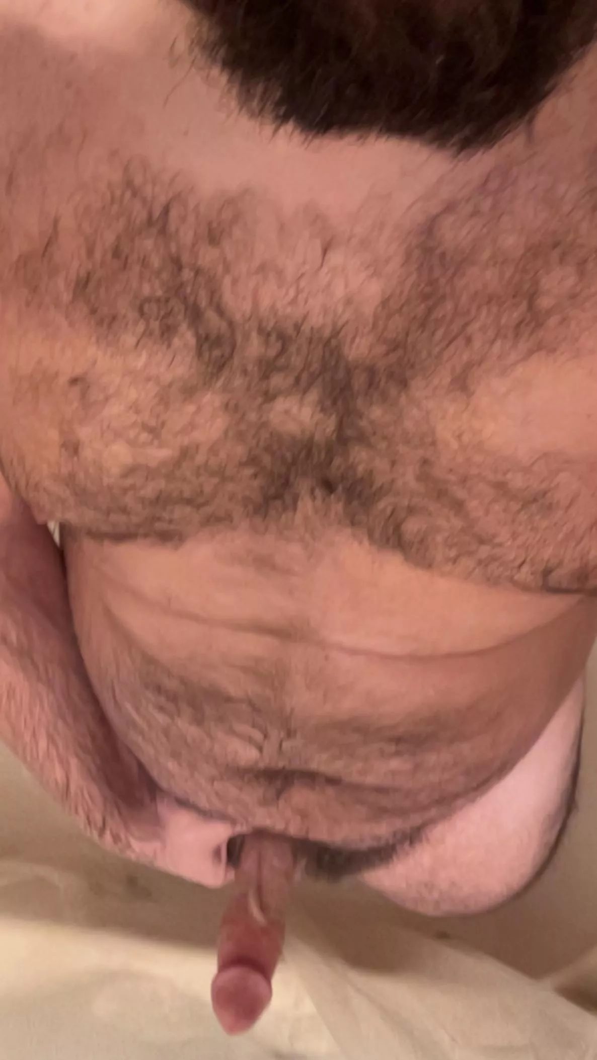 Worship this bear body and cock