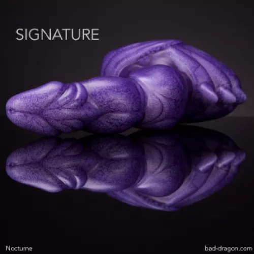 WTB Large/Soft Nocturne