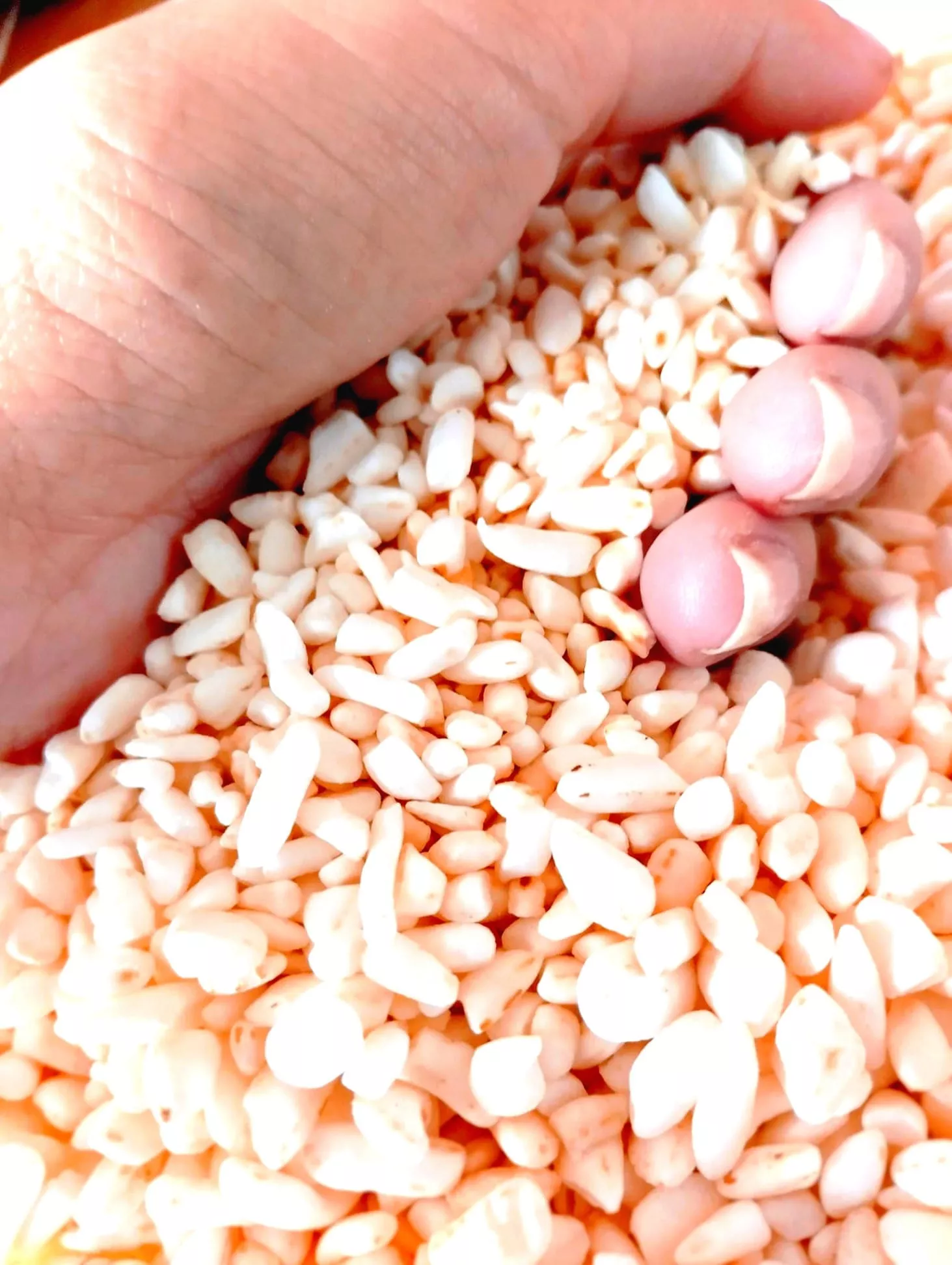 Cultivating excellence, delivering satisfaction ❤