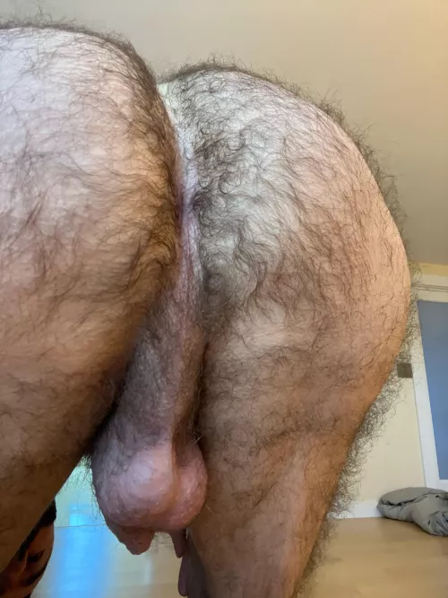 Hairy hump day