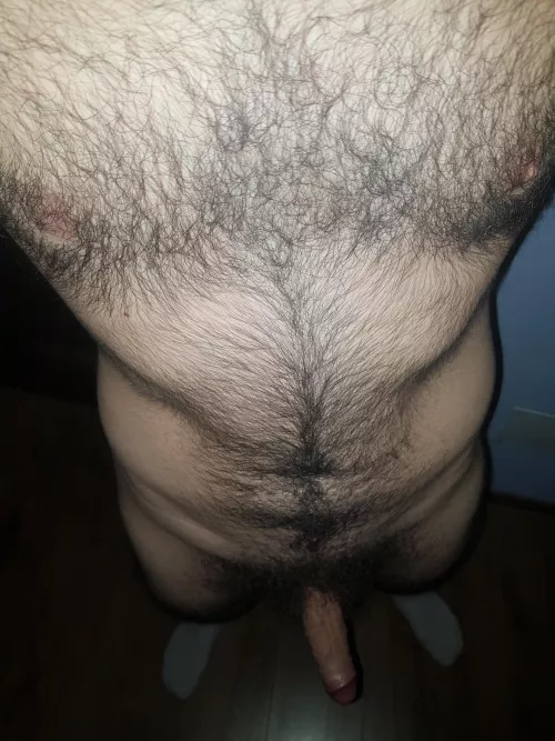 Love my hairy chest (19)
