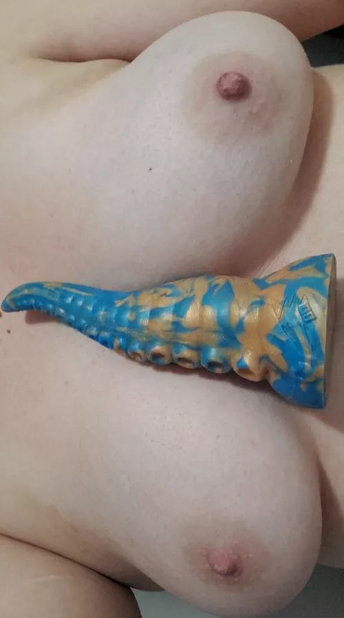 Showing of my small ika