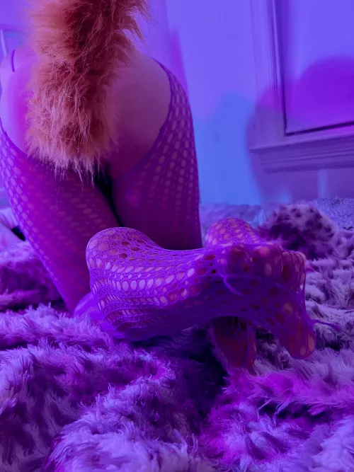 trans girl pup, showing off my fluffy tail and cute little toe beans ✨🐶