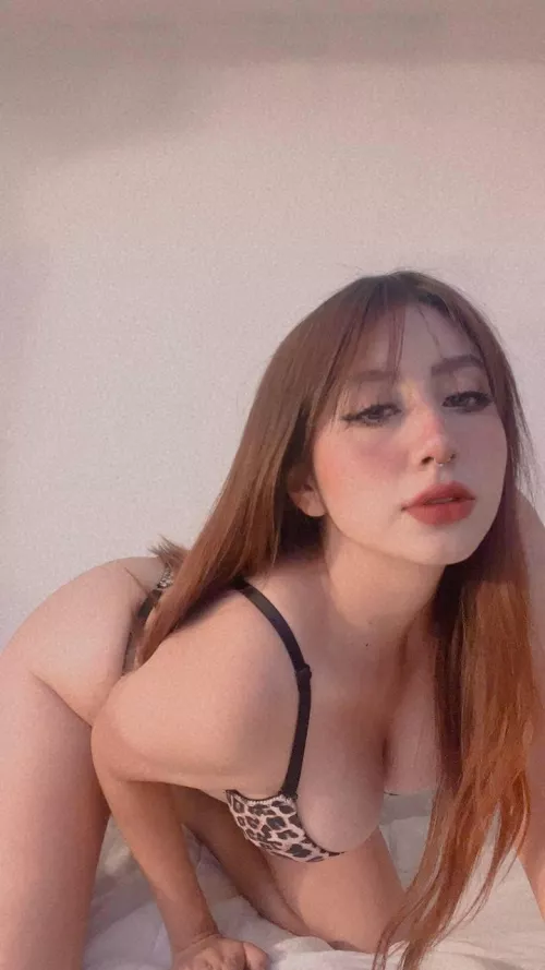 Trib me if you want ❤️