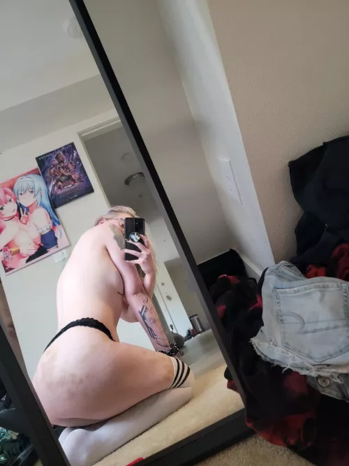 Wanna add to my collection?