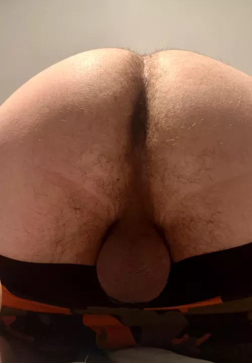 Whiff, lick, or stick?