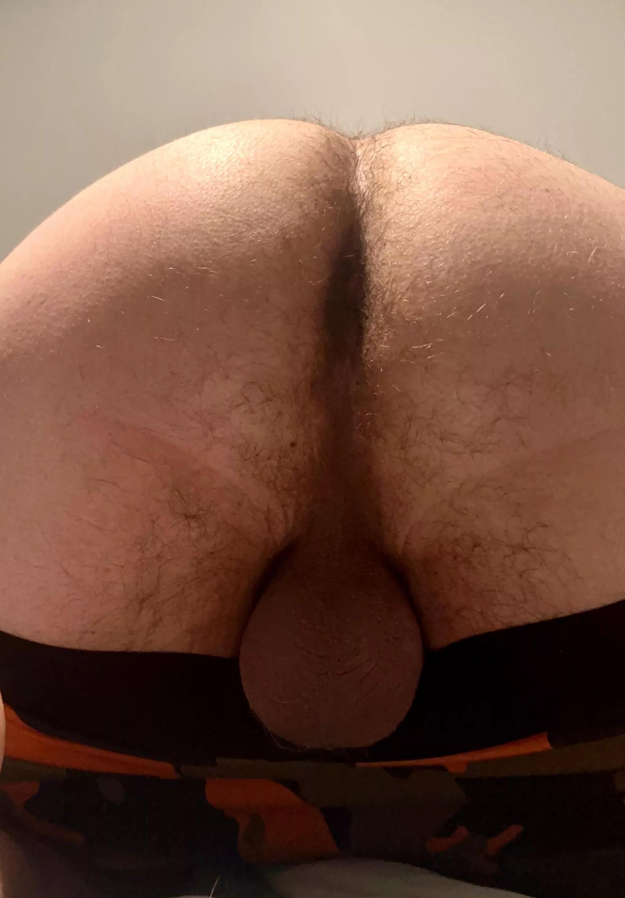 Whiff, lick, or stick?