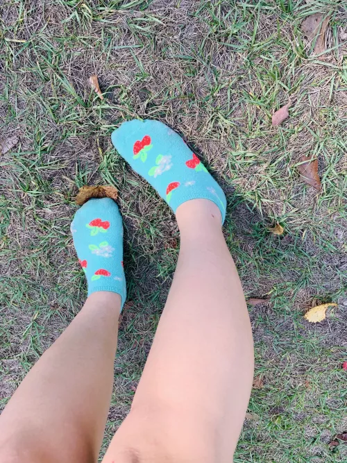 who wants a taste of these strawberry [selling] [US] [F]