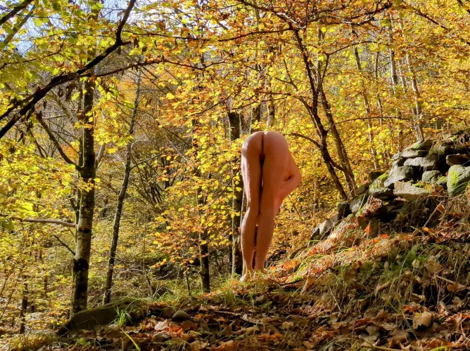 Oh, I found a mushroom in this golden leaf forest