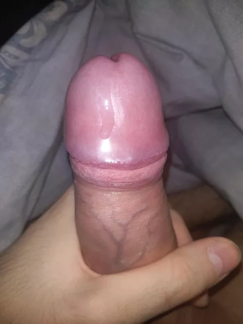 Precum on head