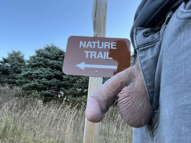 Should I follow the trail or get lost in the woods?