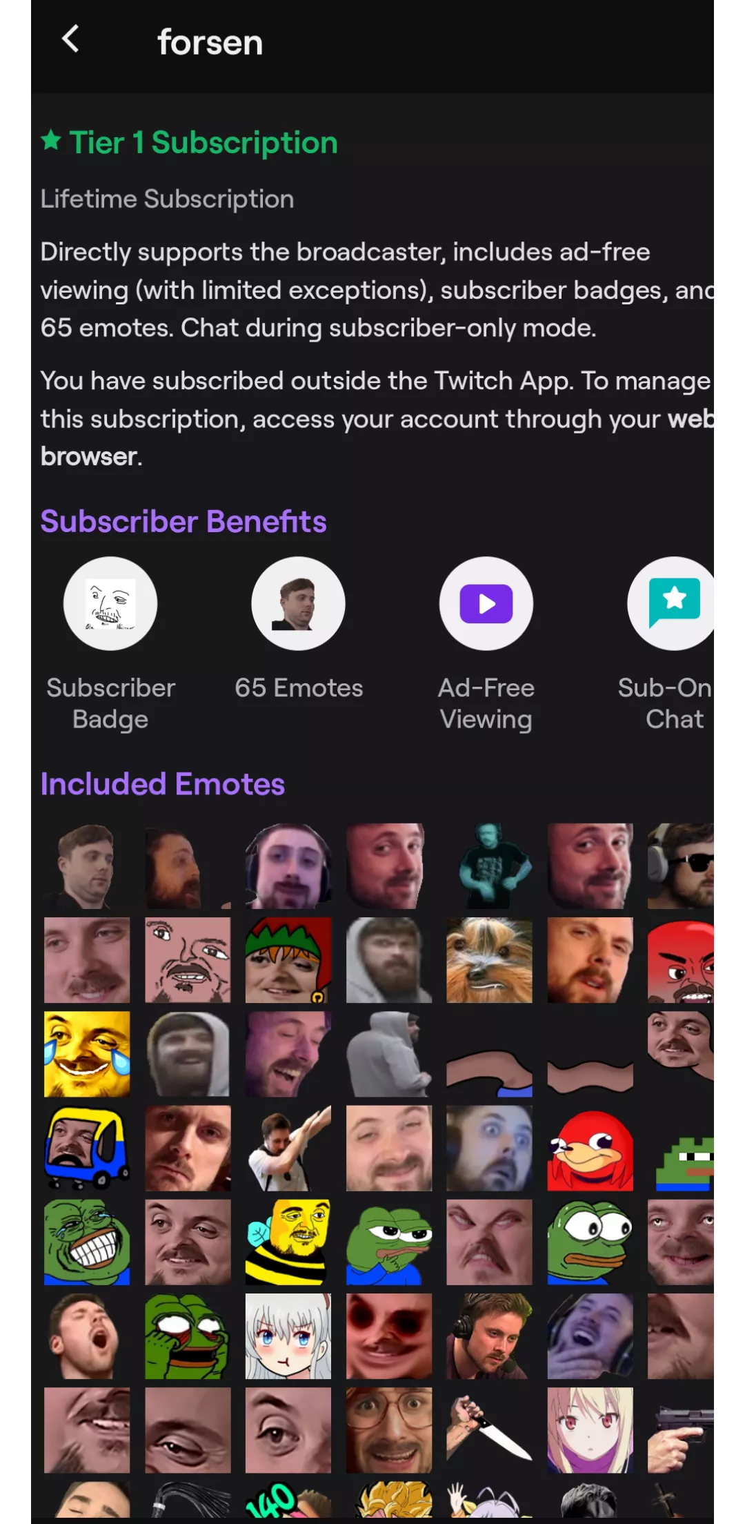 Whats a lifetime subcription?