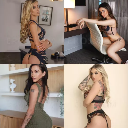 Which pornstar should I hire as an escort from Eros? [Haley Reed] [Aria Lee] [Morgan Lee] [Kali Roses]