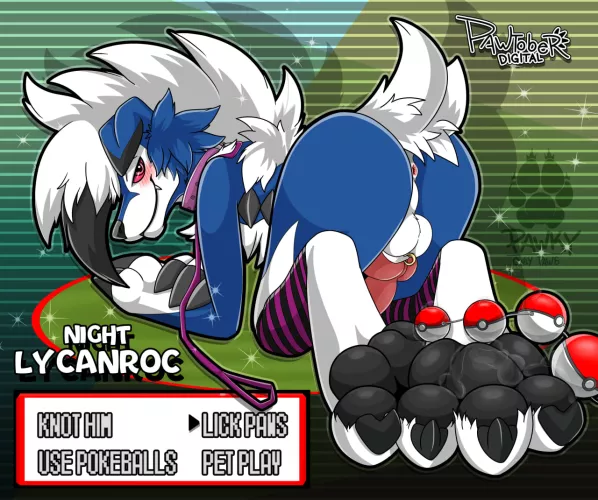 Wild Lycanroc Midnight Shiny Appears!! [M] (Pawky)
