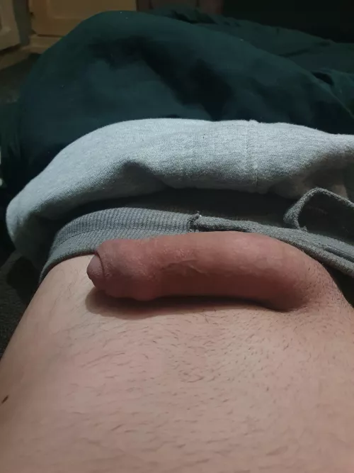 Do you like my softie?