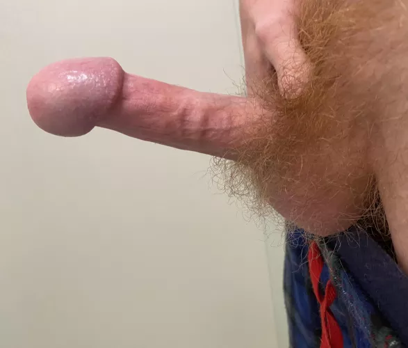 Does my red bush turn you on?