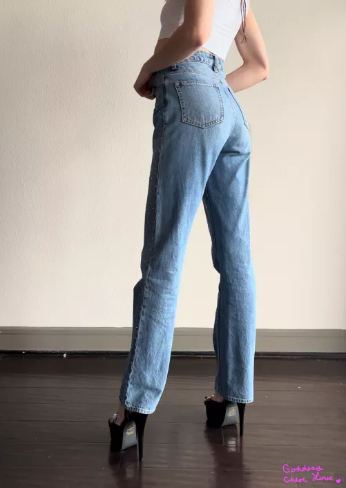 Get on the ground and start barking beta