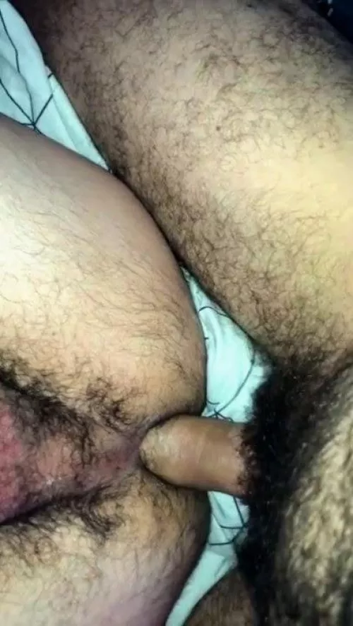 Hairy taint bottom, hairy cock.