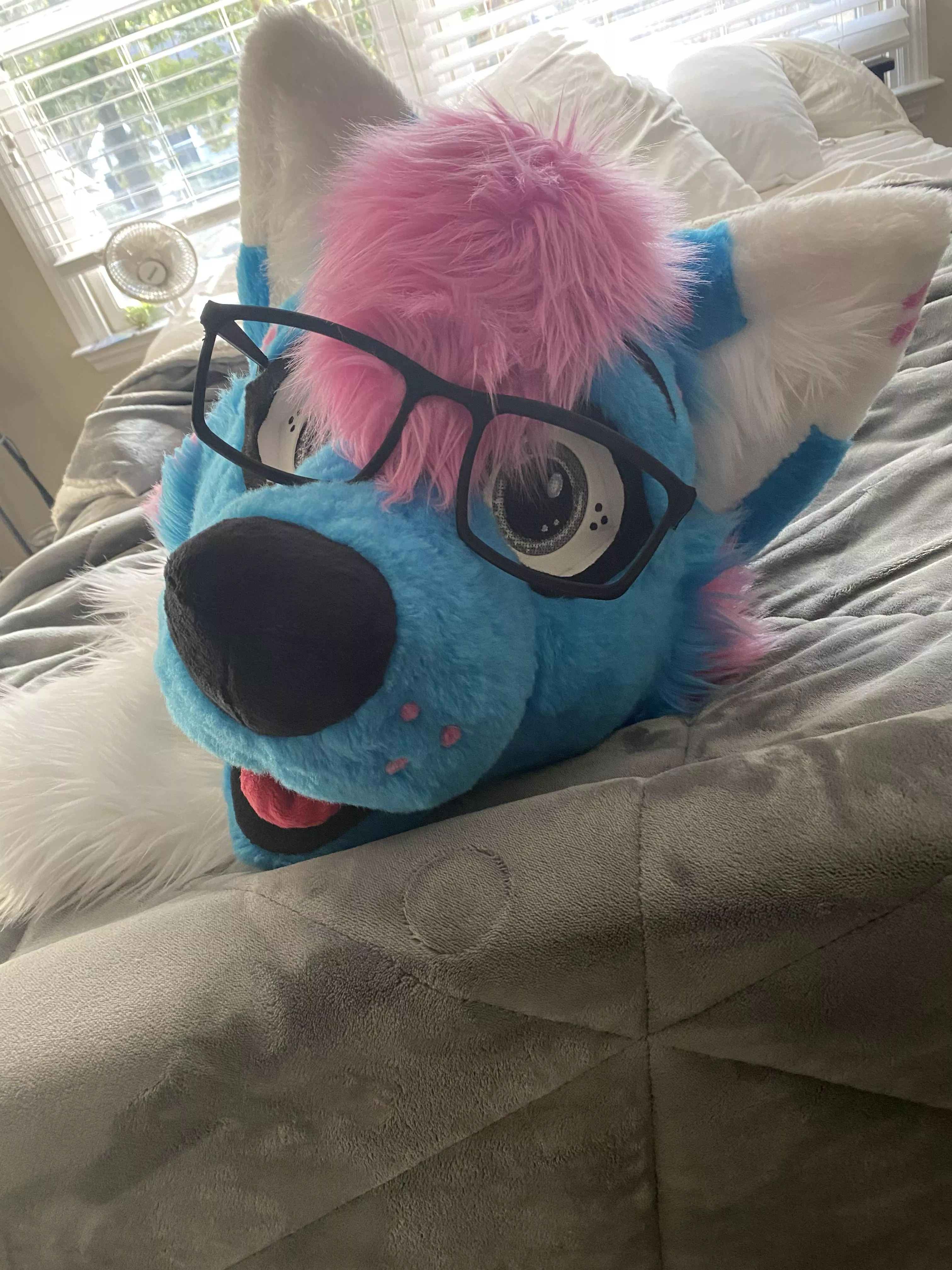 HE NEEDS SNUGGLES!!!