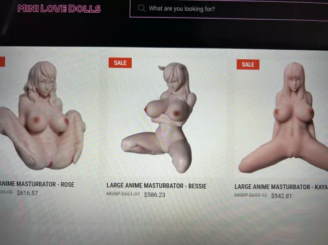 Looking for anime style masturbators or mini sex dolls. Any legit/reputable websites you recommend?